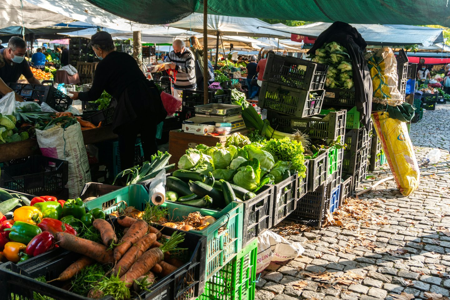 People shop for fresh vegetables at an outdoor market.
